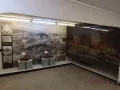Миниатюра 7