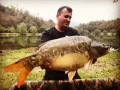 Миниатюра 3