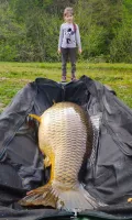 Миниатюра 11