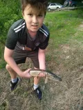 Миниатюра 12