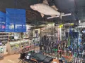 Миниатюра 5