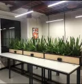 Миниатюра 8