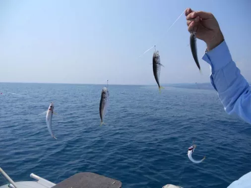 Fishing Adler. Рыболовный Клуб