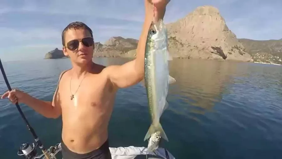 Fishing Adler. Рыболовный Клуб в Адлере: Платная Рыбалка, Рыболовный Клуб, Рыбалка в Адлере, Рыбалка на Море, Рыбалка на Катере, Рыбалка на Яхте, Рыбалка на Белугу, Рыбалка на Форель, Рыбалка на Кумжу, Рыбалка на Селедку,
