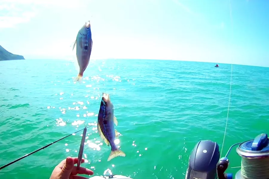 Fishing Adler. Рыболовный Клуб в Адлере: Платная Рыбалка, Рыболовный Клуб, Рыбалка в Адлере, Рыбалка на Море, Рыбалка на Катере, Рыбалка на Яхте, Рыбалка на Белугу, Рыбалка на Форель, Рыбалка на Кумжу, Рыбалка на Селедку,