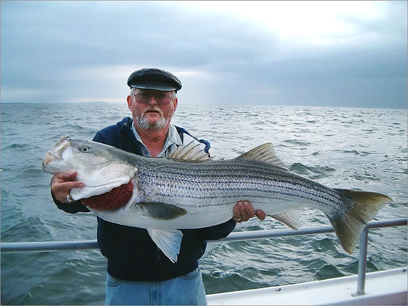 Fishing Adler. Рыболовный Клуб в Адлере: Платная Рыбалка, Рыболовный Клуб, Рыбалка в Адлере, Рыбалка на Море, Рыбалка на Катере, Рыбалка на Яхте, Рыбалка на Белугу, Рыбалка на Форель, Рыбалка на Кумжу, Рыбалка на Селедку,