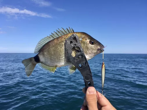 Fishing Adler. Рыболовный Клуб