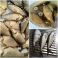 Миниатюра 9