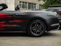 Миниатюра 13