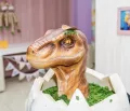 Миниатюра 3