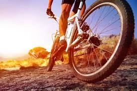 Прокат велосипедов Ride в Абакане: Прокат велосипедов, Аренда велосипедов, Развиваться, Ремонт велосипедов , Веломагазин, Прокат, Полное ТЭО, Зимний инвентарь, Велосипеды, ЛонгБорды, Лыжи, Сноуборды,