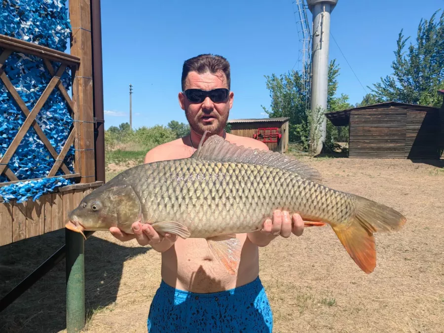Рыболовная база Покровка. Рыболовный Клуб в Волгограде: Рыбалка, База отдыха,