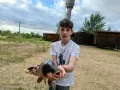 Миниатюра 6