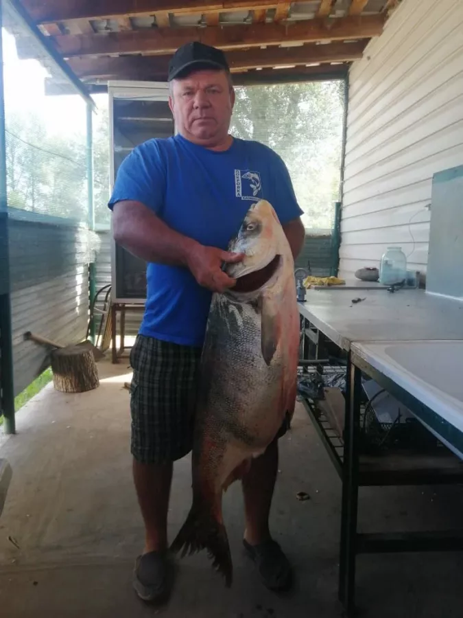 Рыболовная база Покровка. Рыболовный Клуб в Волгограде: Рыбалка, База отдыха,