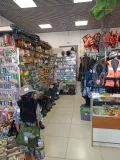 Миниатюра 10