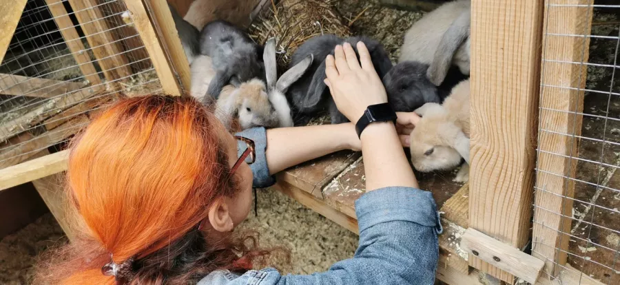 Контактный зоопарк Деревенька в Самаре: Зоопарк, Любимцы, Чилим, Природа, Zoo, Animals, Развлечения, Дети,