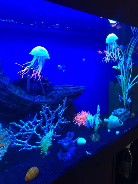 Томский Зоопарк  в  Томске