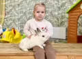 Миниатюра 7