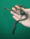 Миниатюра 7