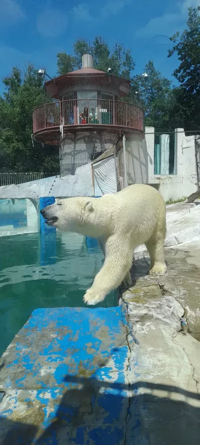 Зоосад Приамурский им. В. П. Сысоева в Хабаровске: Животные, Зоопарк, Природа, Детям,