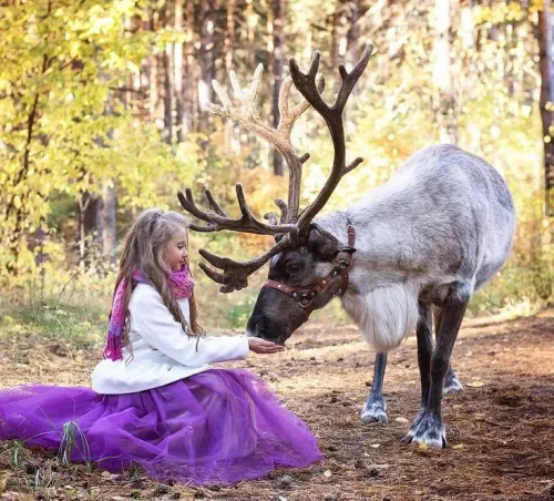 Ульяновский зоопарк  в  Ульяновске