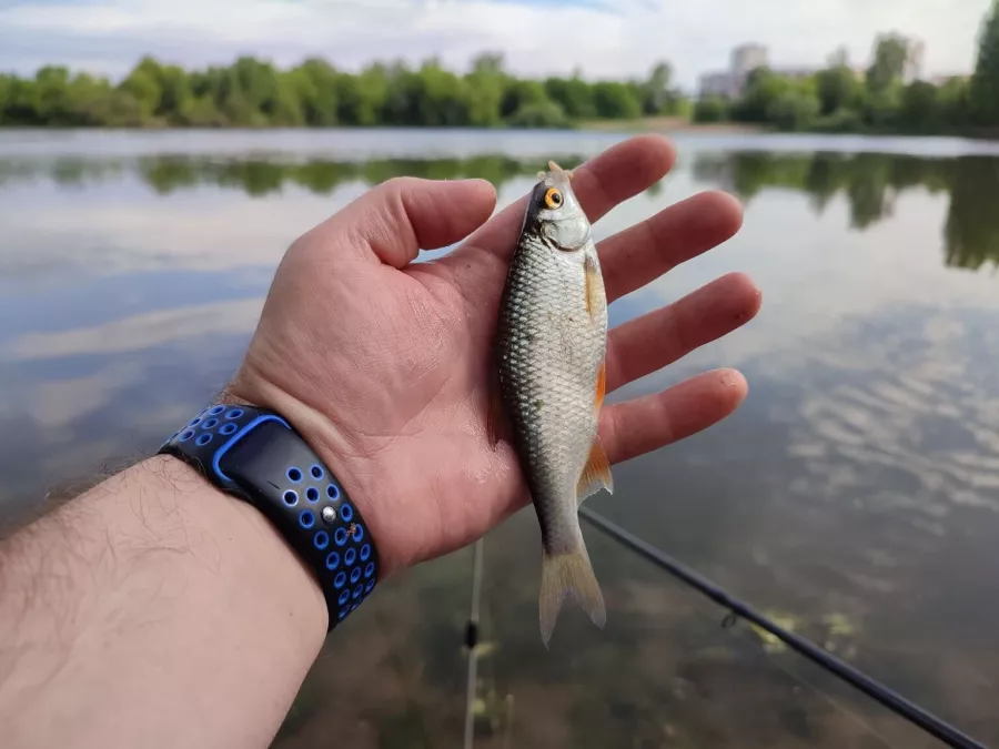 КРХ Мулянка. Рыболовный Клуб в Екатеринбурге: Рыбалка,