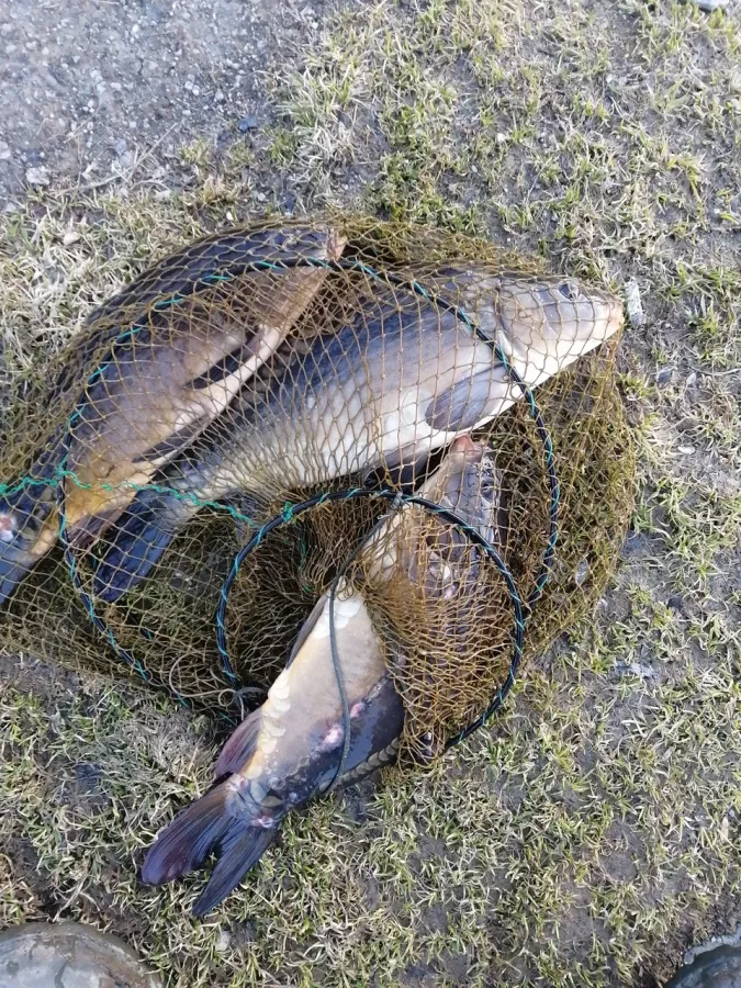 КРХ Мулянка. Рыболовный Клуб в Екатеринбурге: Рыбалка,