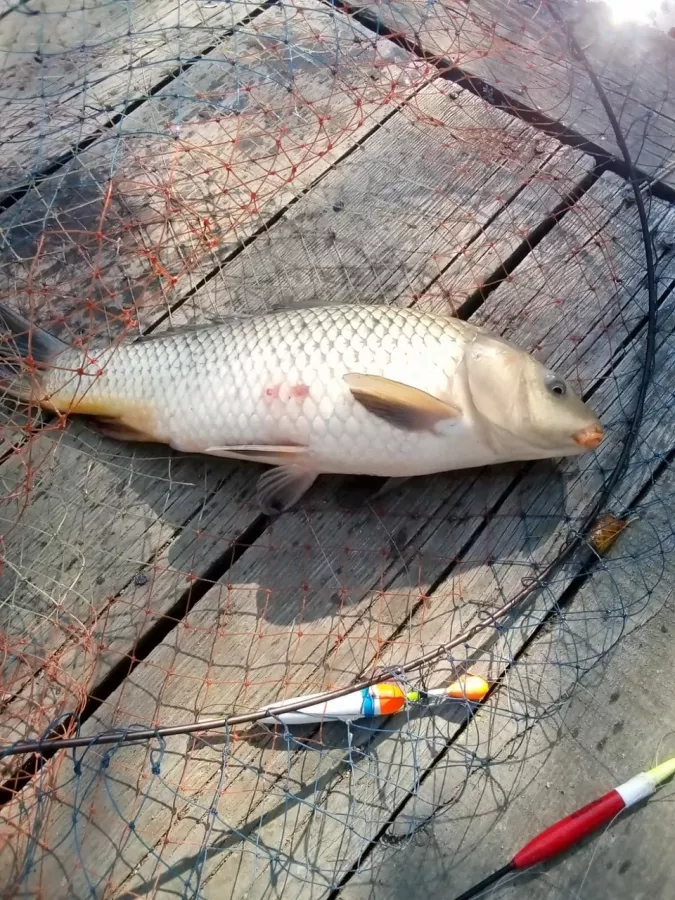 КРХ Мулянка. Рыболовный Клуб в Екатеринбурге: Рыбалка,