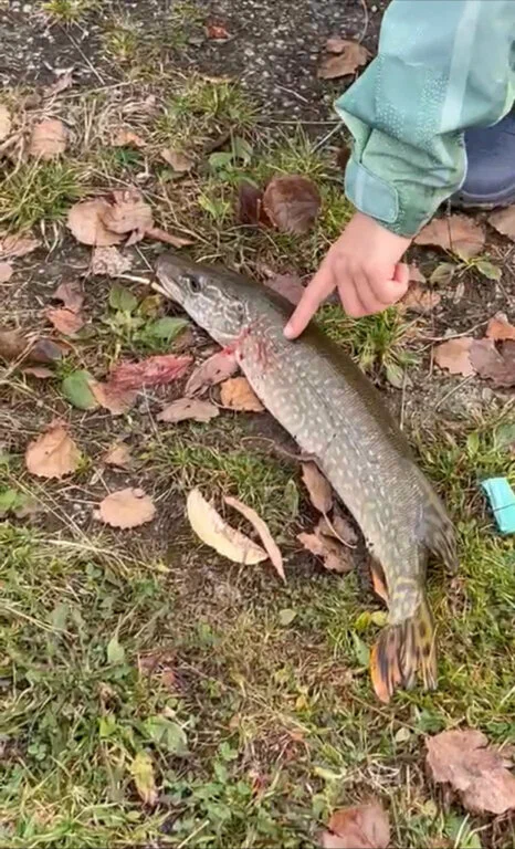 КРХ Мулянка. Рыболовный Клуб в Екатеринбурге: Рыбалка,