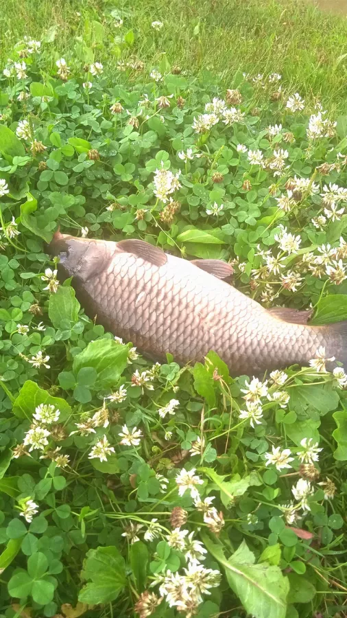 КРХ Мулянка. Рыболовный Клуб в Екатеринбурге: Рыбалка,