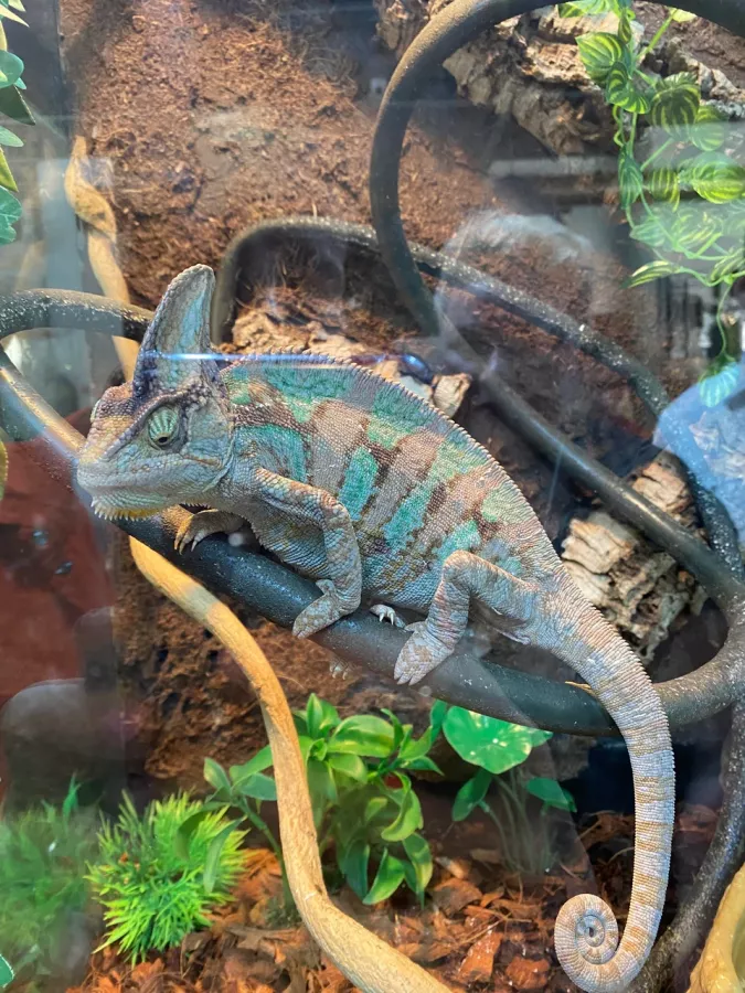 Зоопарк Жучки паучки в Москве: Животные, Зоопарк, Детям, Природа,