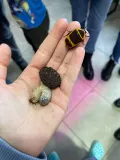 Миниатюра 12