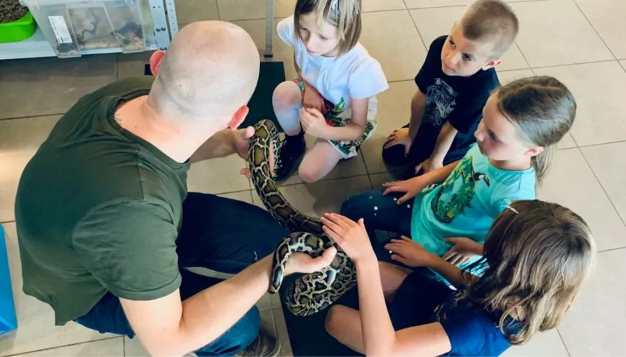 Зоопарк Жучки паучки в Москве: Животные, Зоопарк, Детям, Природа,