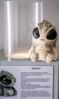 Миниатюра 8