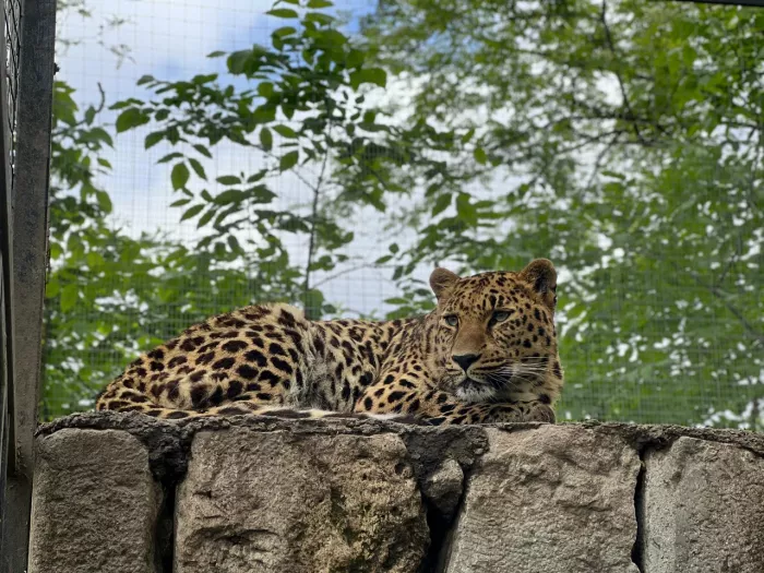 Владикавказский зоопарк  во  Владикавказе