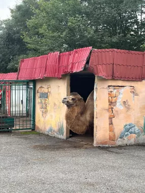 «Владикавказский зоопарк»