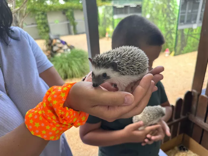 Зоопарк Пернатая радуга  в  Ейске