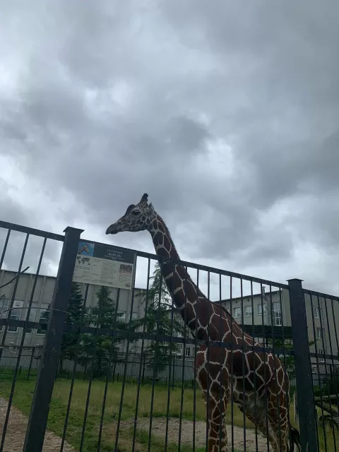 Фото 6
