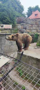 "Калининградский зоопарк"