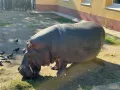 Миниатюра 14