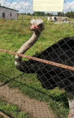 Парк птиц «Приозерье»