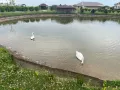 Миниатюра 8