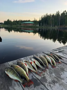 Беловодье. Турбаза 