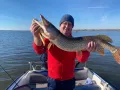 Миниатюра 7