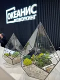 Миниатюра 7