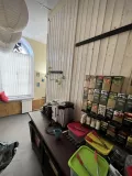 Миниатюра 8