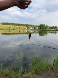 Миниатюра 10