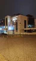 Миниатюра 9