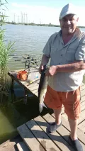Миниатюра 7
