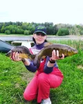 Миниатюра 10